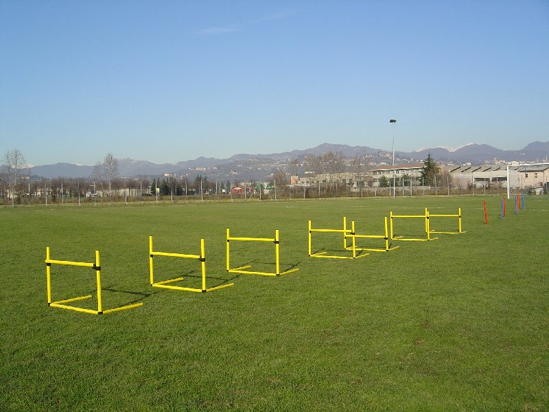 fc1247-1.jpg